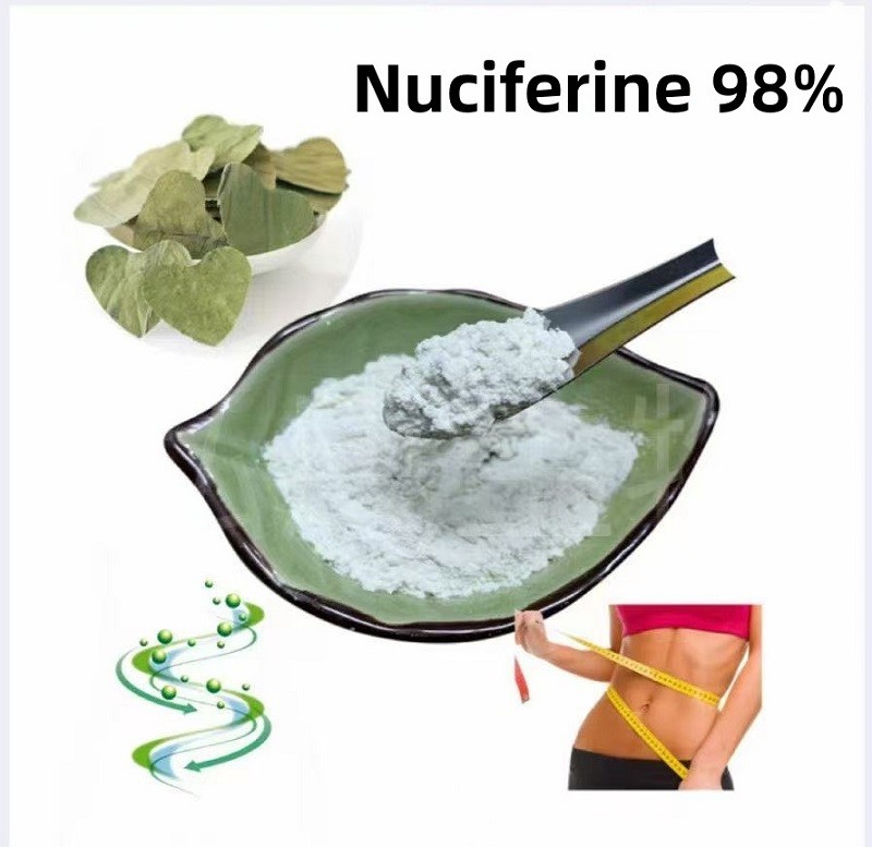 Supply Nuciferine 98% Losing Weight And Reducing Fat
