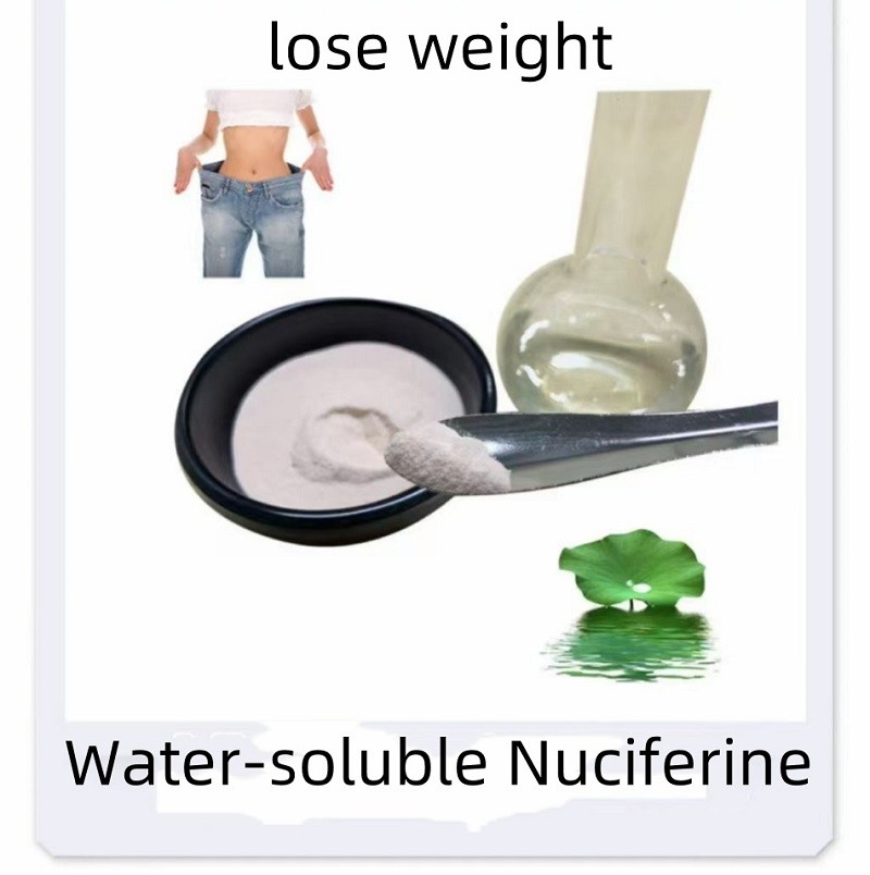 Water-soluble Nuciferine 5% 10% For Loss Weight